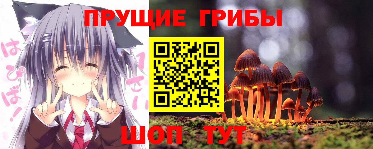 Галлюциногенные грибы Psilocybe Гулькевичи