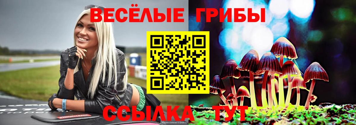 Гулькевичи  Галлюциногенные грибы прущие грибы  Вход с VPN  Галлюциногенные грибы мицелий 